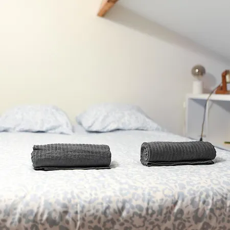 Le Loft Botanique Et Son Parking Gratuit Toulouse