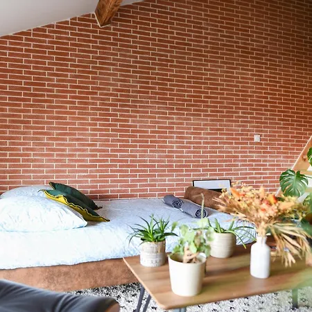 Le Loft Botanique Et Son Parking Gratuit アパート トゥールーズ