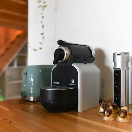 Le Loft Botanique Et Son Parking Gratuit * 圖盧茲