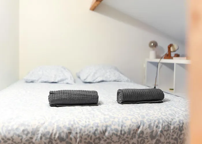 Le Loft Botanique Et Son Parking Gratuit 圖盧茲