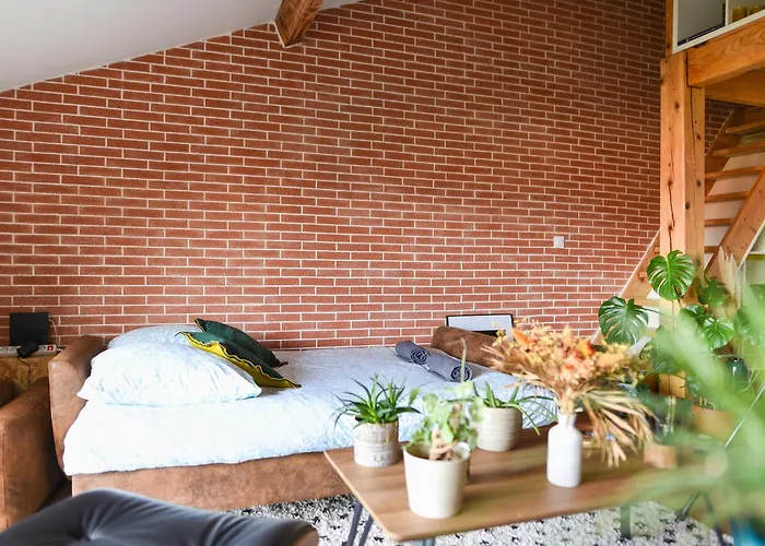 Le Loft Botanique Et Son Parking Gratuit 公寓 圖盧茲