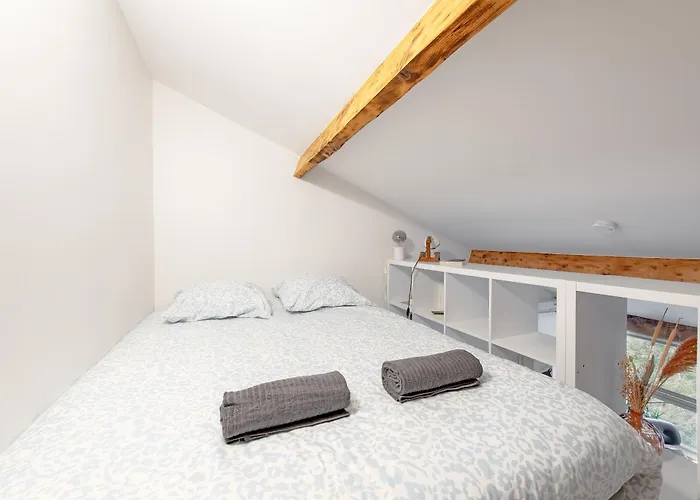 Le Loft Botanique Et Son Parking Gratuit 公寓 圖盧茲