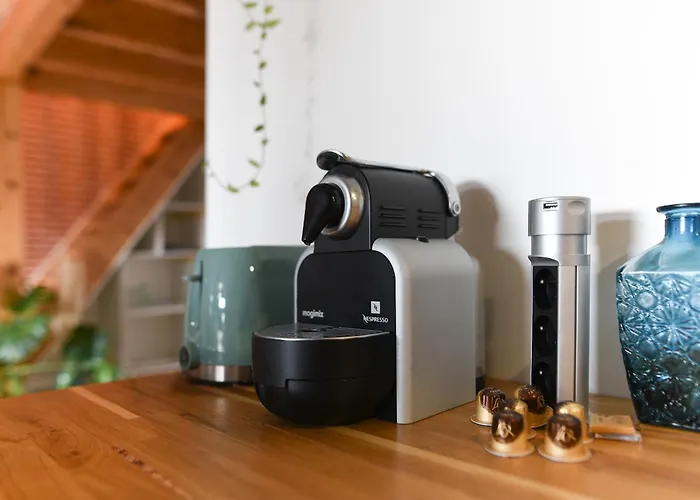 Le Loft Botanique Et Son Parking Gratuit * 圖盧茲