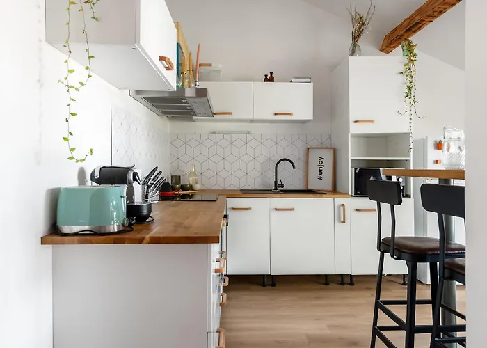 公寓 Le Loft Botanique Et Son Parking Gratuit